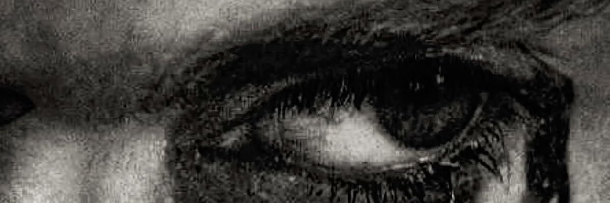 𝐓𝐡𝐞 𝐓𝐡𝐫𝐞𝐞-𝐄𝐲𝐞𝐝 𝐑𝐚𝐯𝐞𝐧 banner