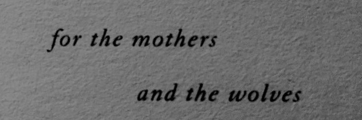 𝙻𝚊𝚍𝚢 𝙲𝚊𝚝𝚎𝚕𝚢𝚗 𝚃𝚞𝚕𝚕𝚢 banner