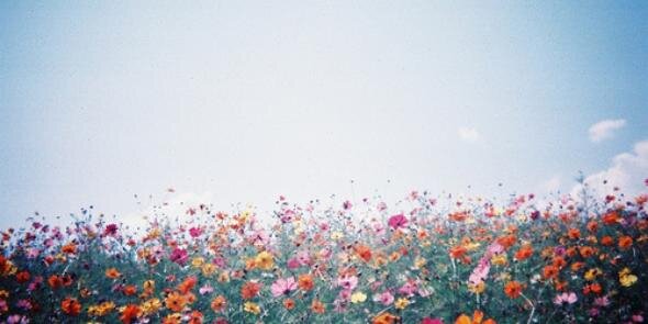 MariaaMora's profile banner image