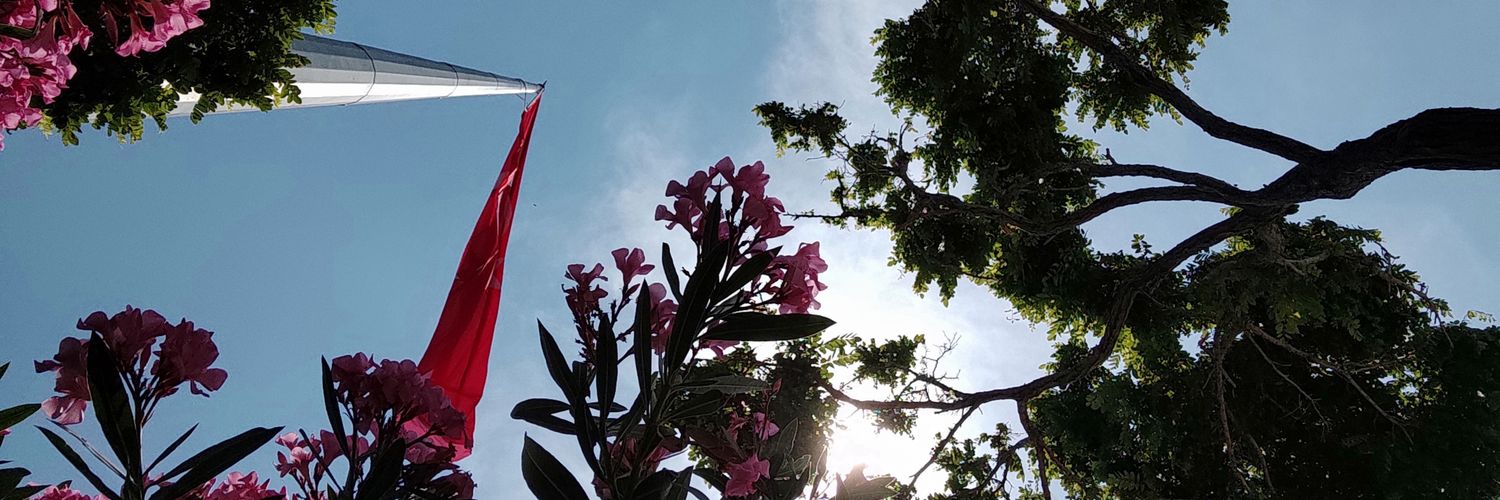 simsekf's profile banner image