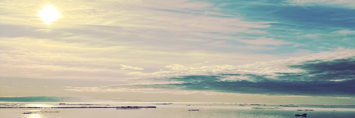V13 banner