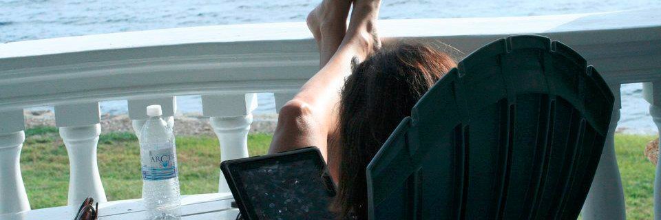 Michelle R. Noteboom banner