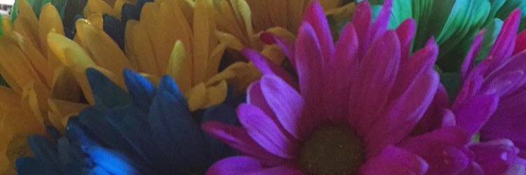 KelleyNotaro's profile banner image