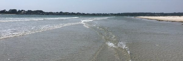 windsrfr68 Profile Banner