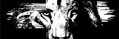 Anderson198381's profile banner image