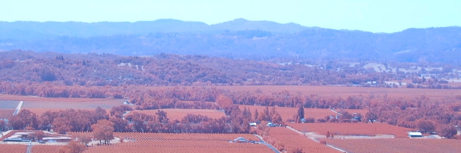 lisarichardson's profile banner image