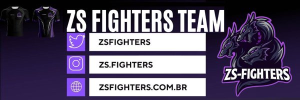 ZSFIGHTERS Profile Banner