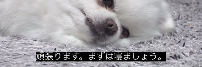 空腹 banner