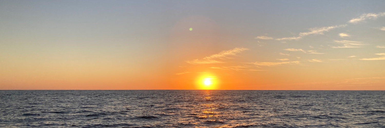 Tony Tancredi banner