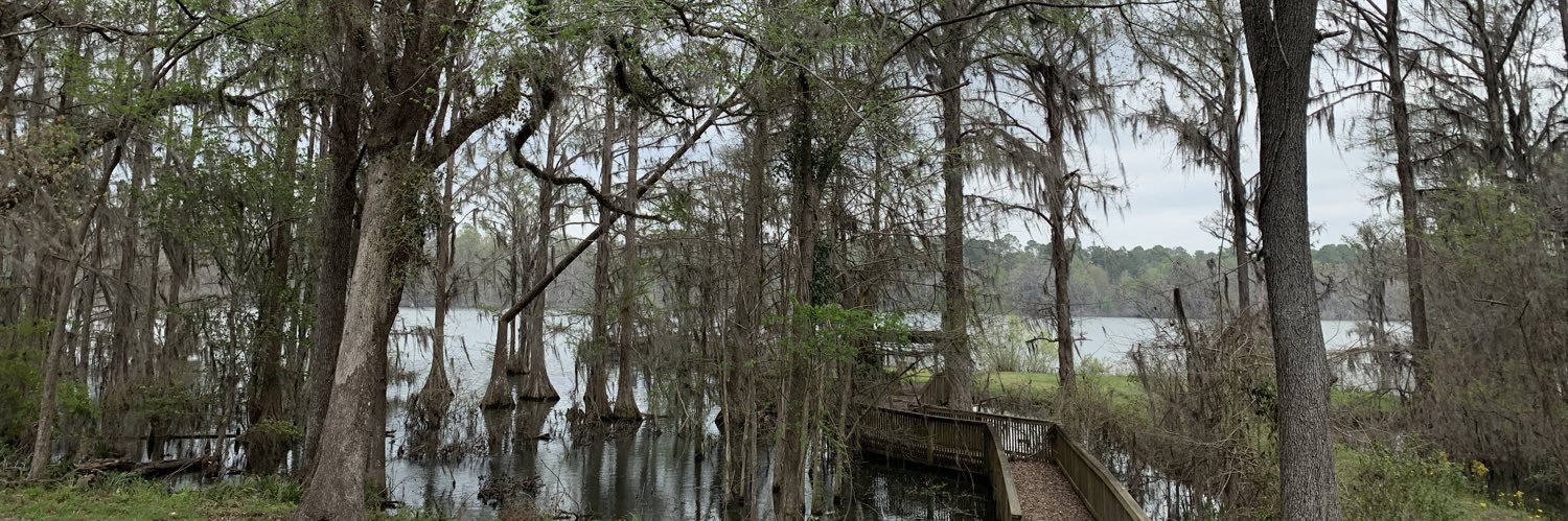 profyolonda.bsky.social banner