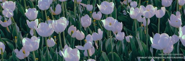 cherryb2ar Profile Banner