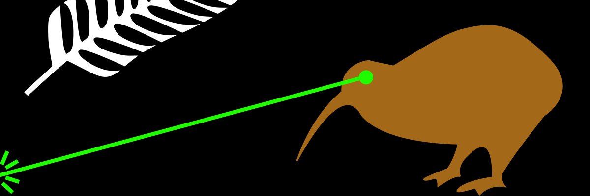 Kelly Huffman  banner