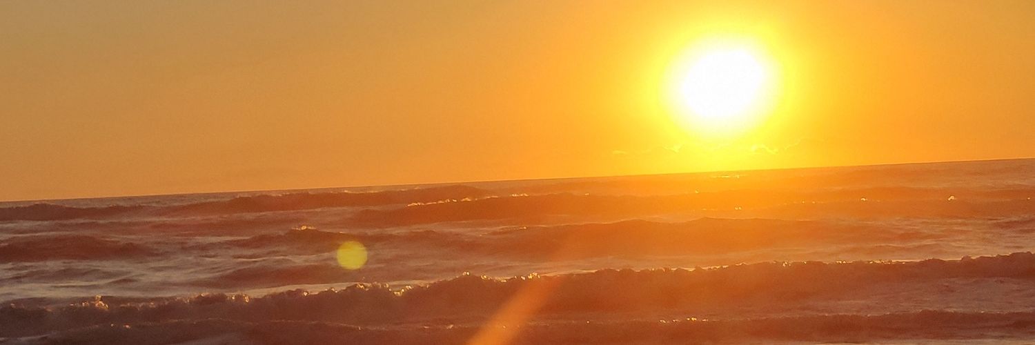 Gabriel de Moraes banner