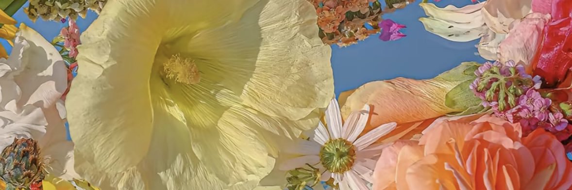 nadyynadd's profile banner image
