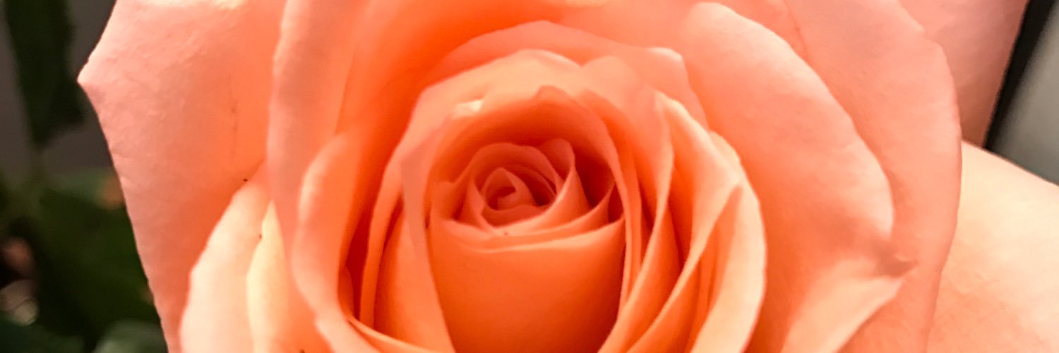 anniemoreno's profile banner image