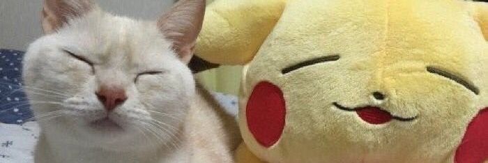 KebabAmego's profile banner image