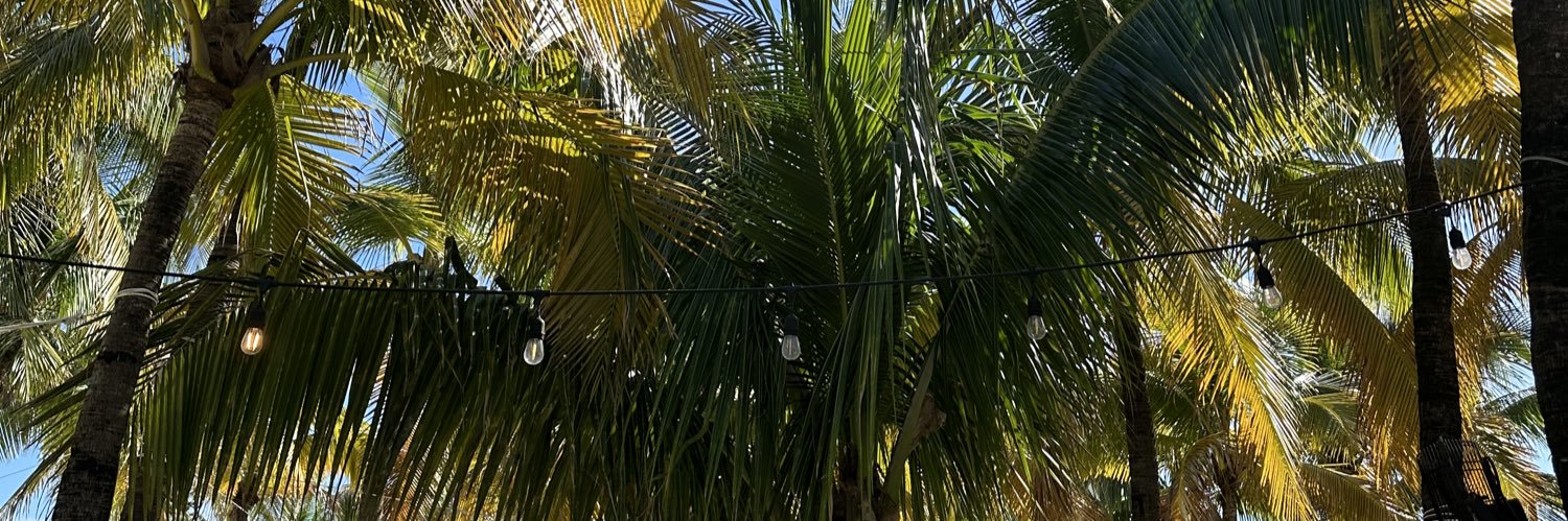 vvvvcc__'s profile banner image