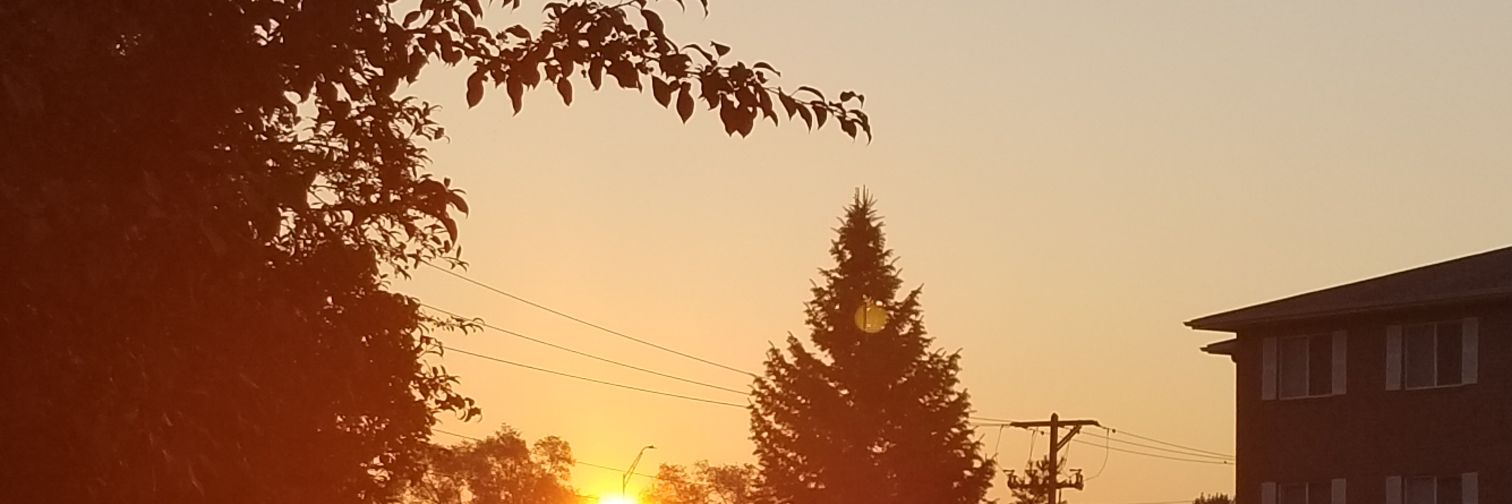 The_Chadss's profile banner image