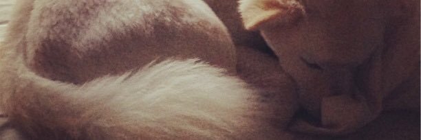 Jayvegas's profile banner image