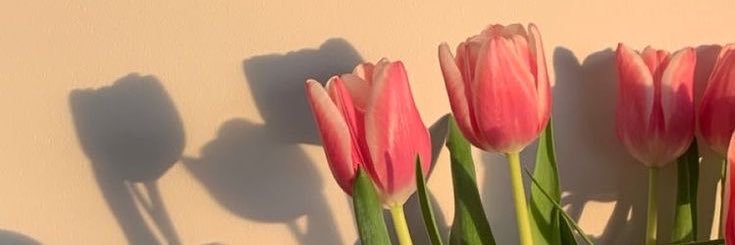 CarmenAIexandra's profile banner image