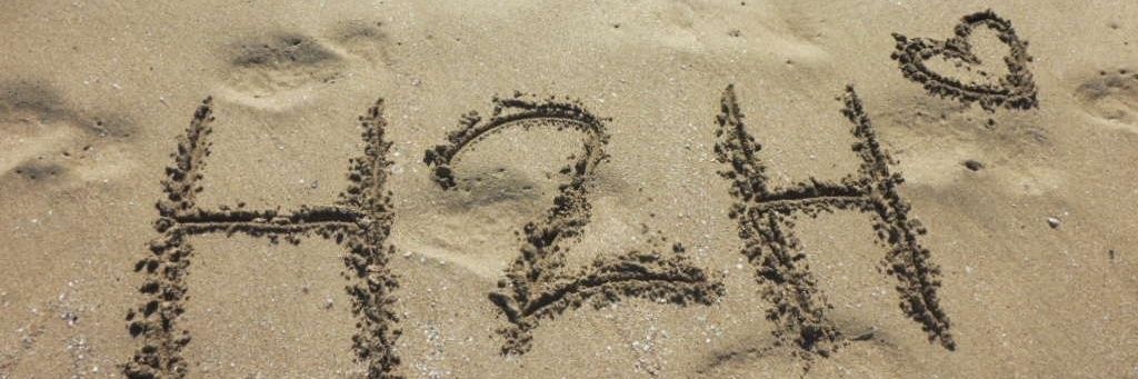 물회한러빗 banner