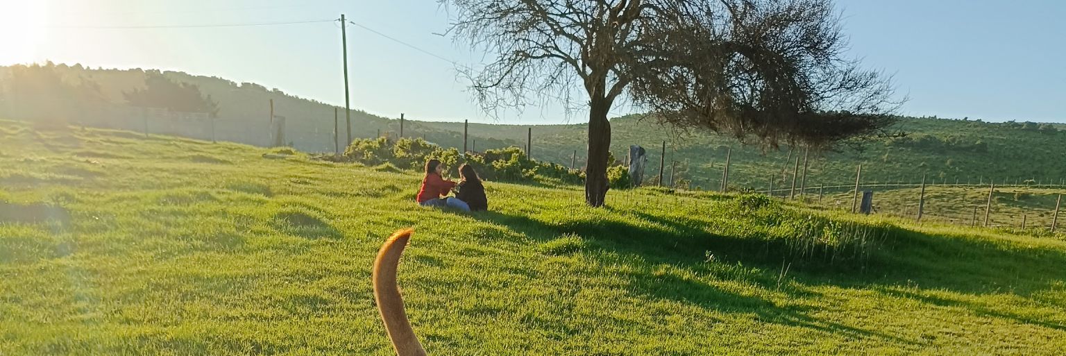 VeroLazcano_'s profile banner image