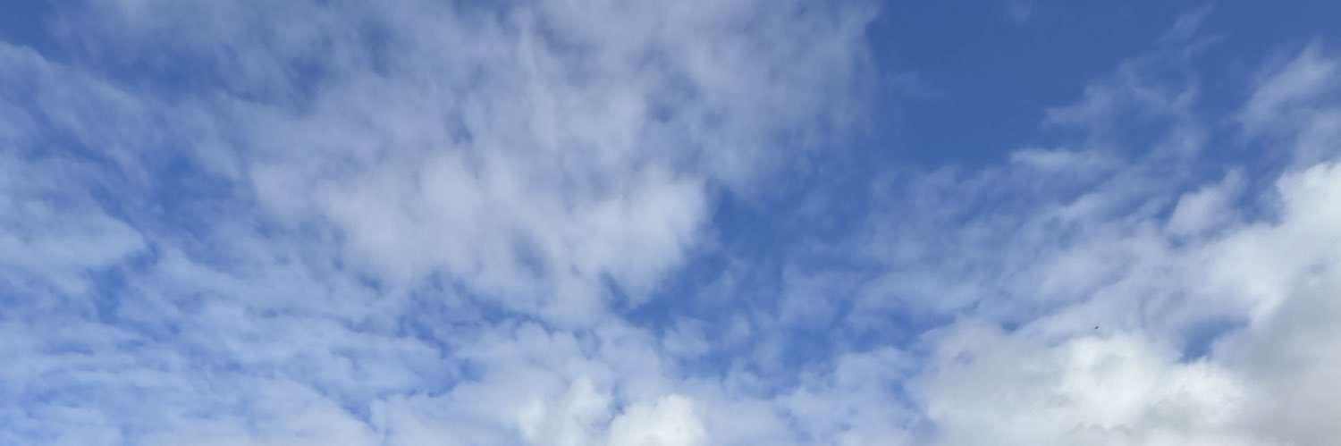 DopeySo's profile banner image