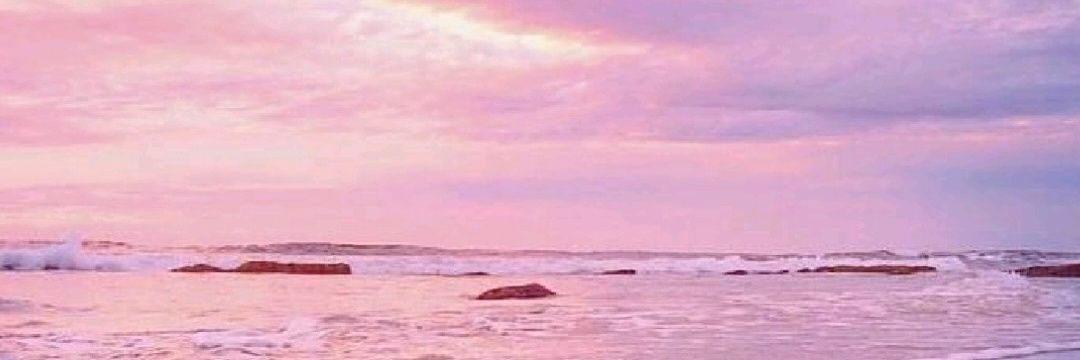 m_mapachito's profile banner image