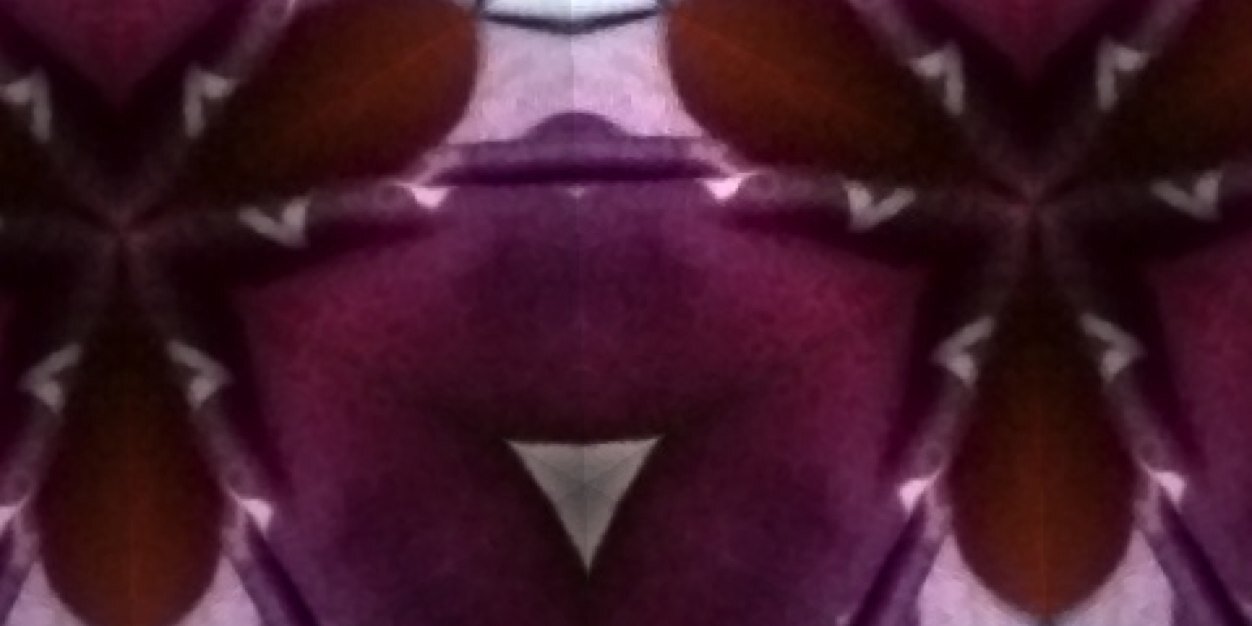 meems banner