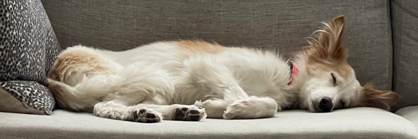 JessikaGuse Profile Banner