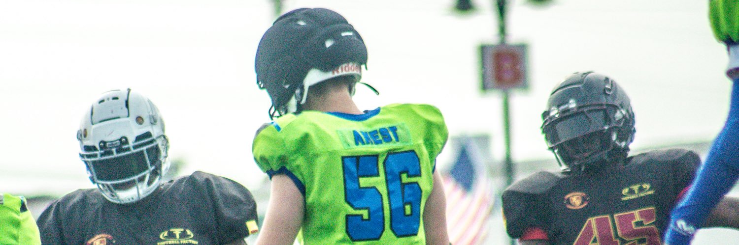 Niko Anest 2030 OL/DL banner