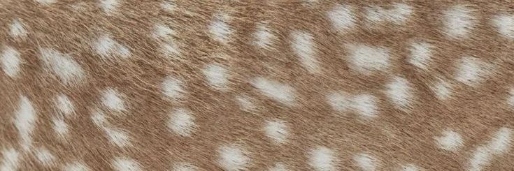 lovsmouri's profile banner image