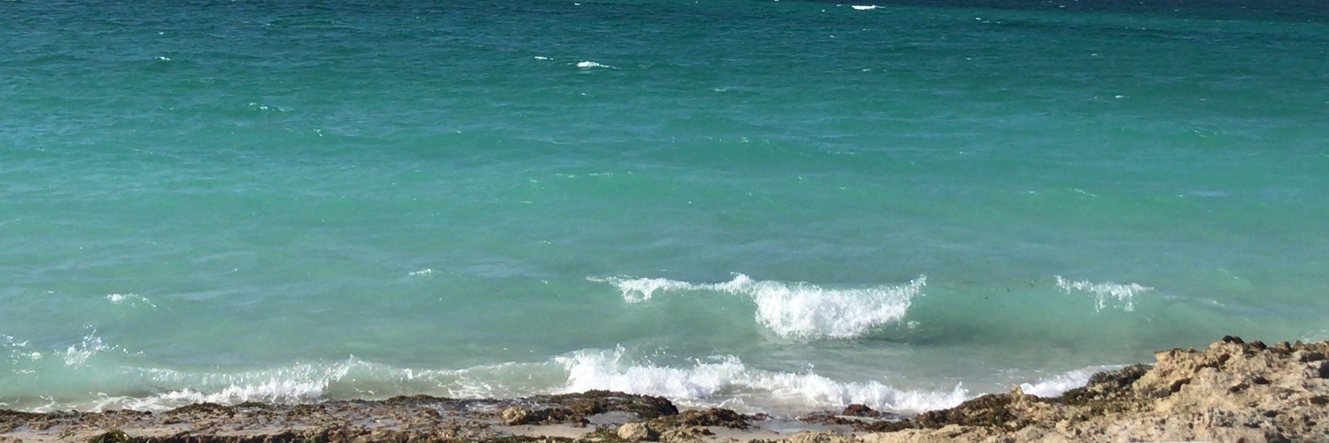 Macarena_serolF's profile banner image