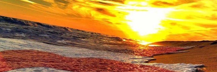 JessHoffman5's profile banner image
