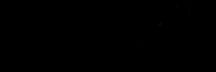 ris banner