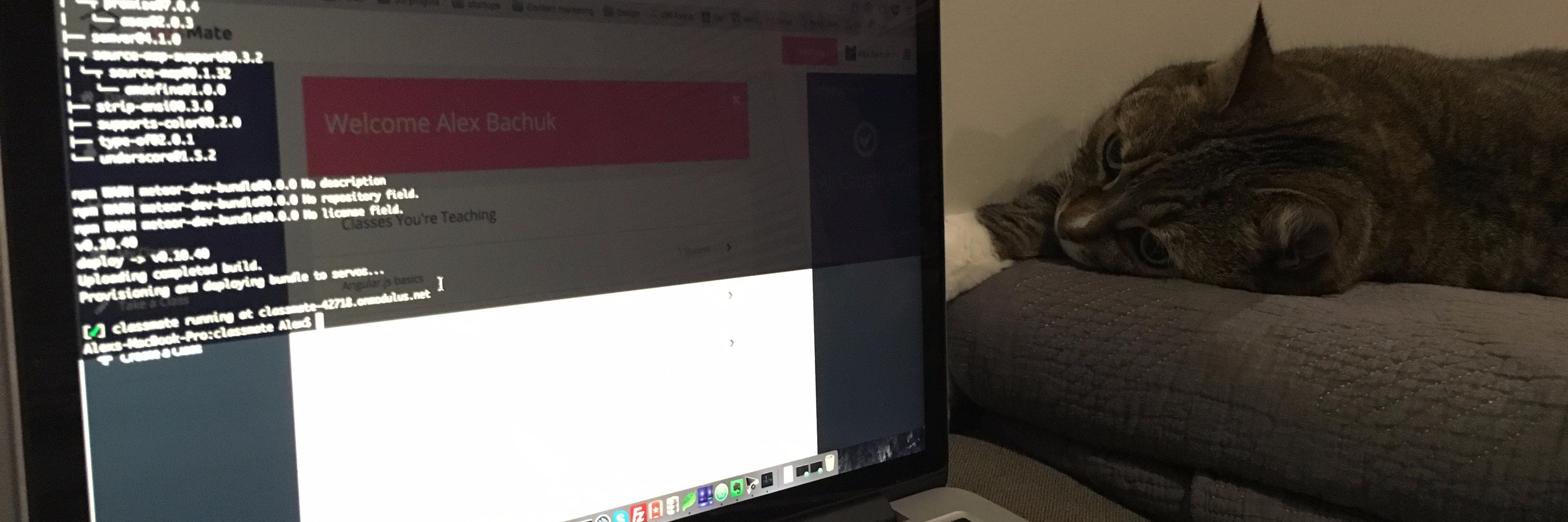 netxm's profile banner image