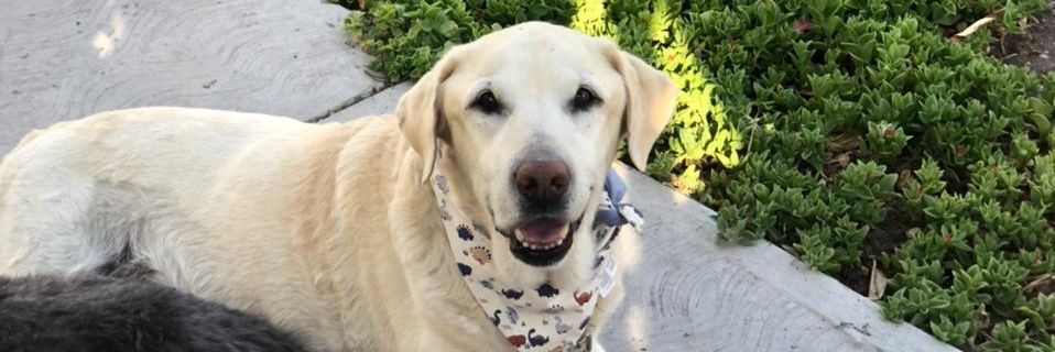 CaroHeimpel's profile banner image