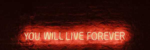 junoxbebe Profile Banner