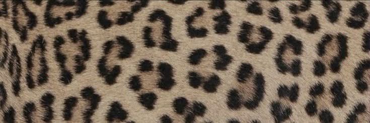 𓆩♱𓆪 RITA's banner