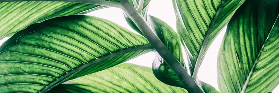 Heeerner's profile banner image