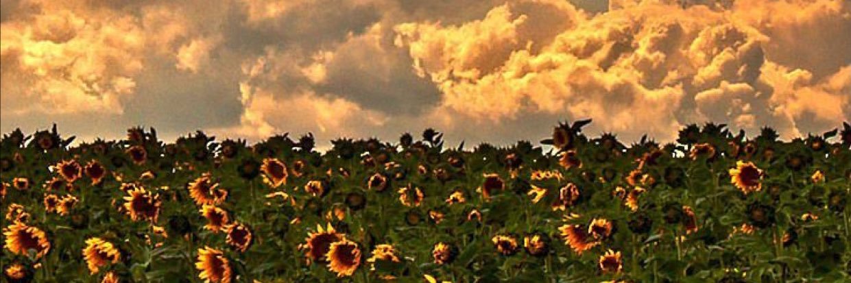 mkb872's profile banner image