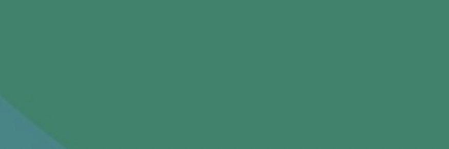 ACE ラッパー banner