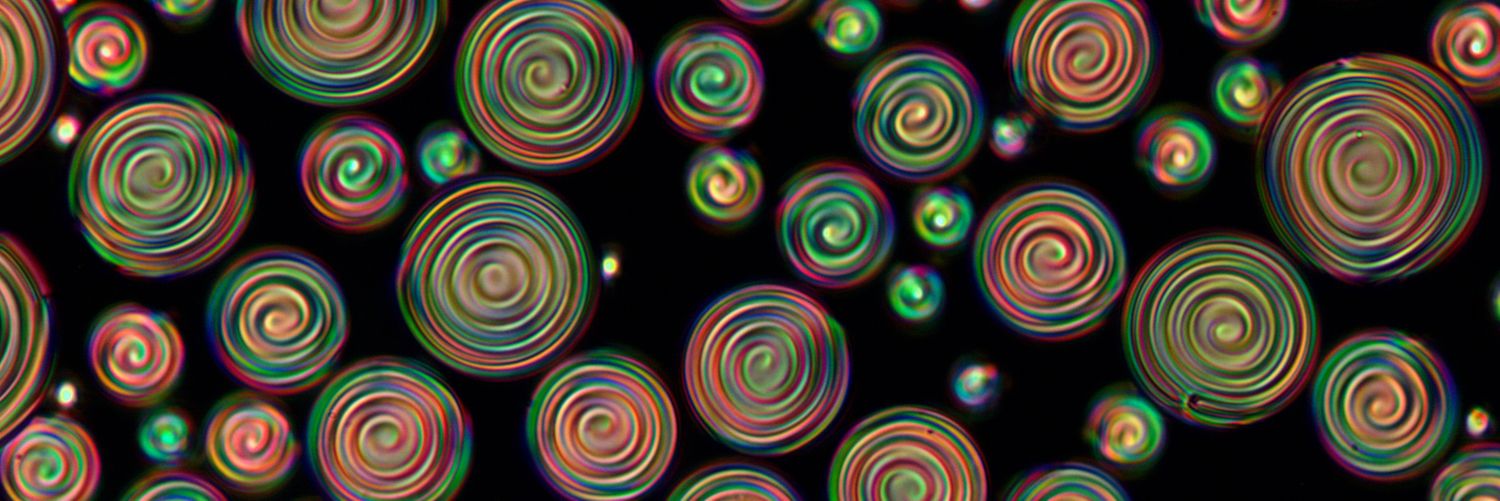 Alberto Concellón banner