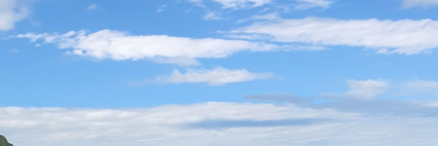 nimanazer4's profile banner image