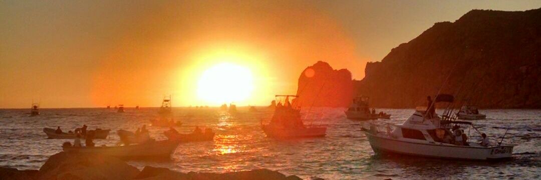 BeaRodvel's profile banner image