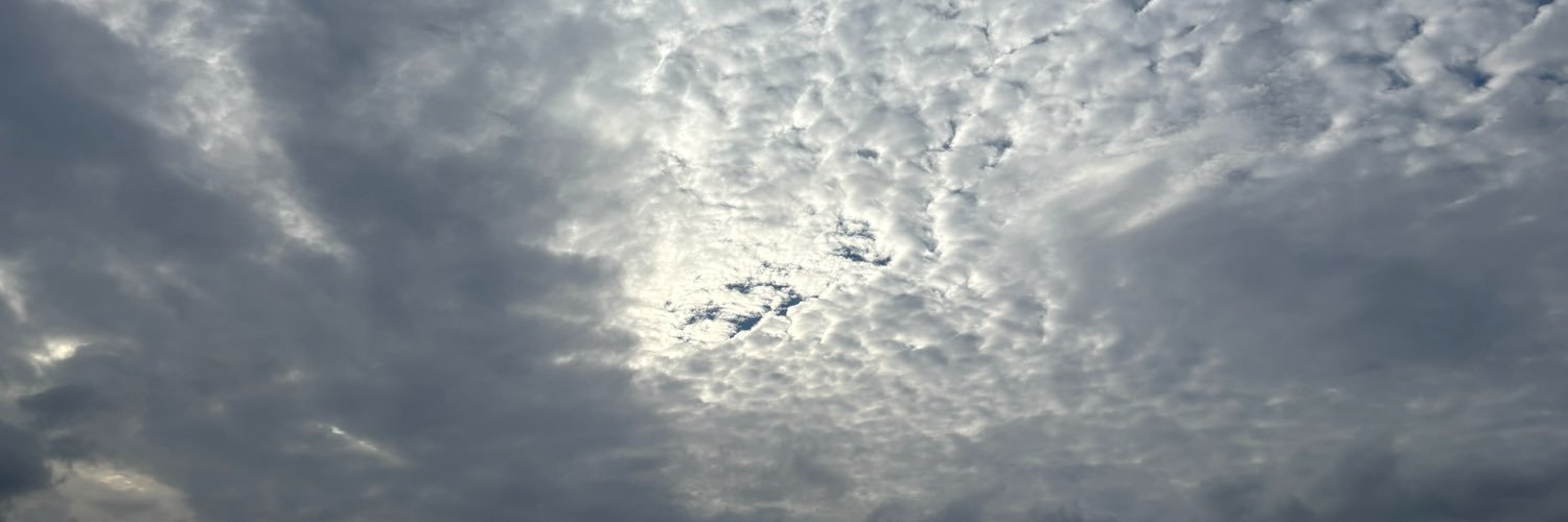 yxxm_o's profile banner image