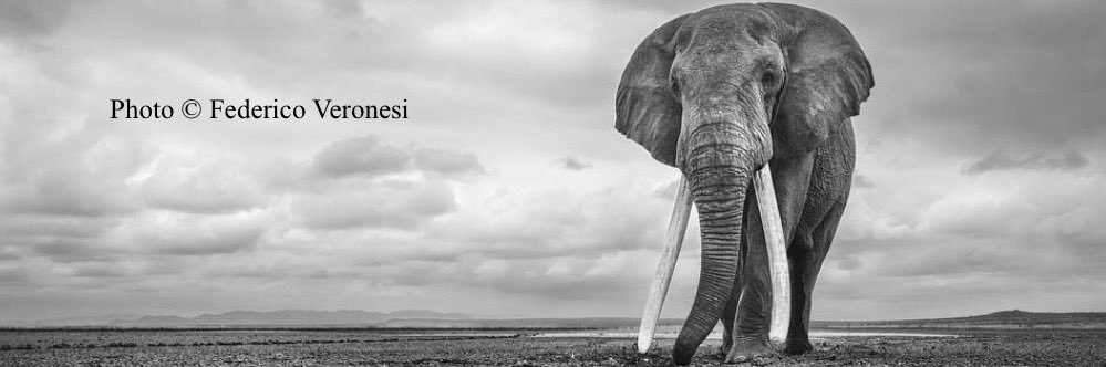 Ramin banner