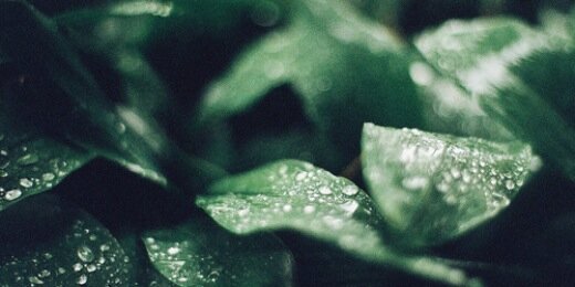 InnateW's profile banner image