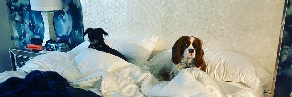 MaryJane Mudd banner