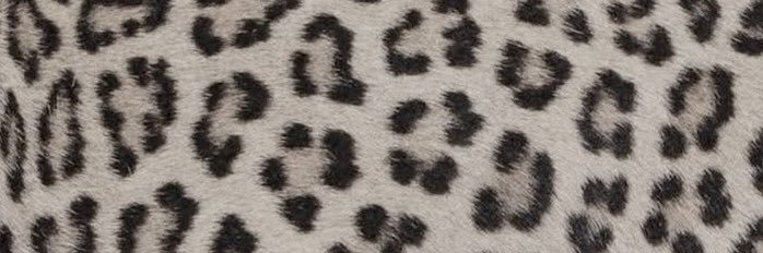 taeingi's profile banner image